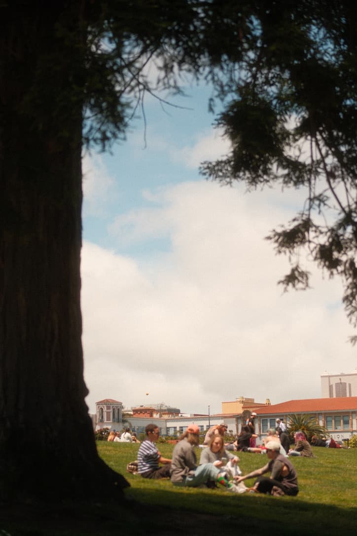 People relaxing in a sunny park beneath a tree.